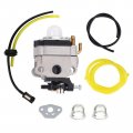 Carburetor For Wyl-161-1 Fuel Line Kit