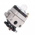 Carburetor For Wyl-161-1 Fuel Line Kit
