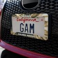 Vegas Golden Knights Tie Dye License Plate Tag Frame