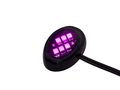 Led Modules Round Black Pink 