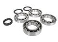 Front Differential Bearings And Seals Kit For Polaris Sportsman 850 Ho Touring Eps 2013 Includes 4 3 