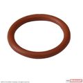 O Ring 
