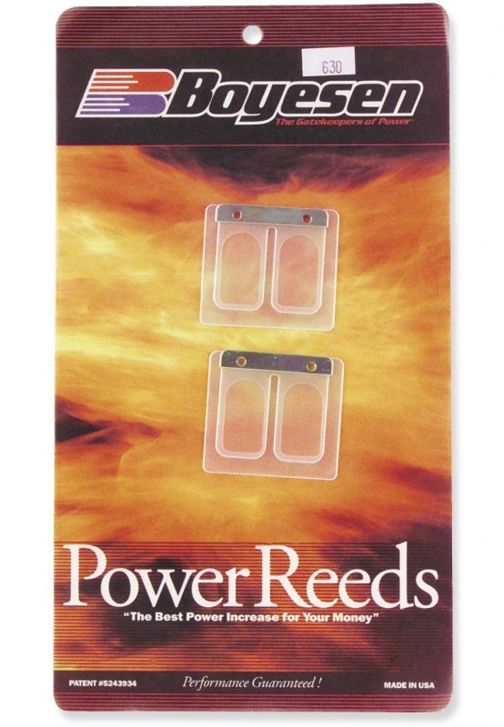 Boyesen Power Reeds 29
