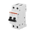 Abb S202-c16 Miniature Circuit Breaker 2p C 16a 