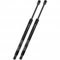 Set Of 2 Rear Liftgate Lift Support Struts Gas Spring For Dodge Grand Caravan 2011-2016 Volkswagen Routan 2009-2010 