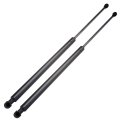 Hood And Liftgate 6105 6305 81181-3e010 Pm3027 Pm3028 Sg250003 Sg350004 Lift Supports Struts Fit For Kia Sorento 2003-2009