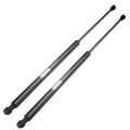 Hood And Liftgate 6105 6305 81181-3e010 Pm3027 Pm3028 Sg250003 Sg350004 Lift Supports Struts Fit For Kia Sorento 2003-2009