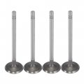 X Autohaux 16pcs Intake Exhaust Engine Valves 12615936 622329 For Chevy Cavalier Cobalt Hhr Malibu Oldsmobile Alero Pontiac G5
