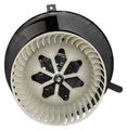 Volkswagen Passat Replacement Blower Assembly 700182 With Motor And Fan Wheel Black 