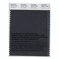 Pantone Smart Swatch 19-3911 Black Beauty 