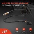 A-premium O2 Oxygen Sensor Compatible With Porsche Panamera 2010 2011 2012 2013 2014 3 6l 4 8l Upstream Right Replace 17220