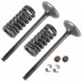 Caltric 2x Exhaust Valve Kit Compatible With Honda Crf250r 2004 2005 2006 2007 14721-krn-670 