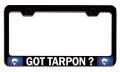 Got Tarpon Fishing Black Metal License Plate Frame Tag Holder O79 