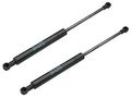 Bmw E53 Engine Lid Strut Set 2 Struts Stabilus 