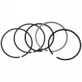 Polaris Atv Piston Ring Set Genuine Oem Part Qty 1