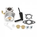 Carburetor Carb 798653 Replacement With Repair Kit For 791077 696981 698860 790182 694508 795069 698859 790180 790290 693865 