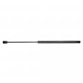 Aintier Automotive Replacement Shock Lift Supports Fit For Nissan Murano 2005 For 2006-2007