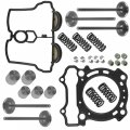 Caltric Valve Intake Exhaust With Gaskets Kit Complete Compatible Yamaha Yz250f 2001-2013