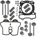 Caltric Valve Intake Exhaust With Gaskets Kit Complete Compatible Yamaha Yz250f 2001-2013