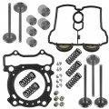 Caltric Valve Intake Exhaust With Gaskets Kit Complete Compatible Yamaha Yz250f 2001-2013 