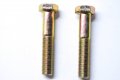 Polaris Screw 1986-2019 Indy Iq Dragon Classic Trail 600 800
