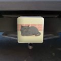 Chubby British Short Hair Grey Cat Tow Trailer Hitch Cover Plug Insert