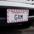 Pretty Poodles Dogs Pattern License Plate Tag Frame