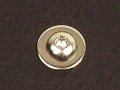 1997-2004 Corvette Engine Compartment Screws Chrome 