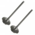 2x Exhaust Valve For Polaris Rzr 570 Crew Ranger And Ace Part Number