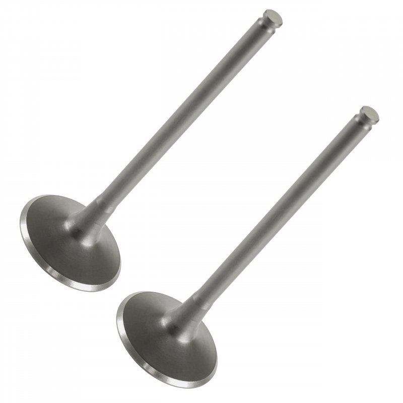 2x Exhaust Valve For Polaris Rzr 570 Crew Ranger And Ace Part Number