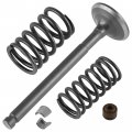 Caltric Exhaust Valve Kit Compatible With Honda Sportrax 90 Trx90 2x4 1993 1994 1995 1996-2005