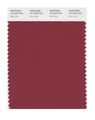 Pantone Smart 19-1543x Color Swatch Card Brick Red 