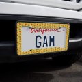 Sunny Sunflowers License Plate Tag Frame