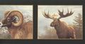 Wallpaper Border Hautman Brothers Ram Elk Deer Heads Framed In Gold And Black 