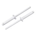 50pcs 5 32 X3 4 Round Head Blind Rivets Zinc-plated Carbon Steel Grip And Mandrel Cap White 