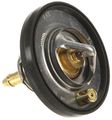 Gates 33919 Thermostat 
