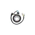 Electrosport Stator For 91-02 Suzuki Ltf300f 