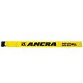 Ancra 43795-10-27 Flat Hook Winch Strap 4-inch By 27-feet 