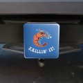 Krillin It Killing Funny Humor Tow Trailer Hitch Cover Plug Insert For 2 In Receivers Black Abs Plastic With Uv Resistant Resin