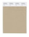 Pantone Smart 15-1116x Color Swatch Card Safari 