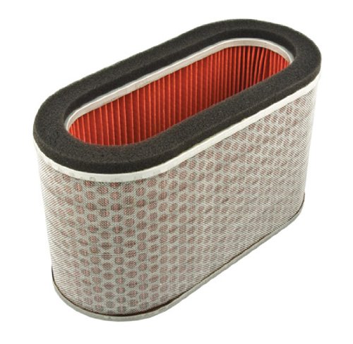 Hiflofiltro Hfa1925 Premium Oe Replacement Air Filter