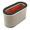 Hiflofiltro Hfa1925 Premium Oe Replacement Air Filter 