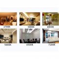 Par20 Led Flood Light Bulb Soft White 7w 50w Equivalent 2700k 40a Beam Angle 550 Lumens Dimmable E26 Medium Base Ul And Energy