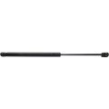 Jeep Compass Lift Support 2015 2016 Driver Or Passenger Side Single Piece Liftgate Hatch Part Number 68061353aa