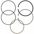 Caltric Piston Ring Set Compatible With Honda Crf100f 2004 2005 2006 2007 2008 2009 2010 2011 2012 2013