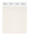 Pantone Smart 11-0103x Color Swatch Card Egret 