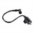 Topteng Ignition Coil Models Fit For Kawasaki Klf220 Klf220a Bayou 220 1988-2002 Klf250 Klf250a 250 2003-2011 Kvf360 Prairie