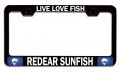 Live Love Fish Redear Sunfish Fishing Black Metal License Plate Frame Tag Holder T12 