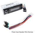 Fydun Power Input Speaker Harness Dual 10a Amplifier 10 Pin Plug With Connector Applicable Diy System
