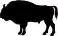 5in X 3in Buffalo Silhouette Sticker Vinyl Wildlife Car Bumper Stickers 